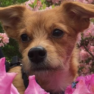 Meet your Posher, Jillanddave